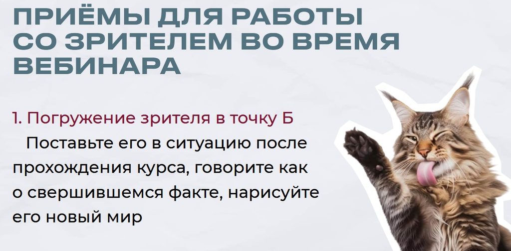 правильный аудит вебинара